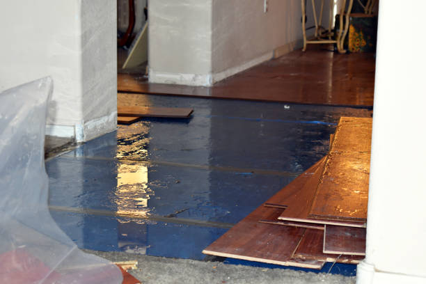 Professional Burst Pipe Cleanup technician working in Woodstock, OH